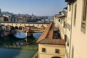 Florence: rondleidingen door de Uffizi en Accademia
