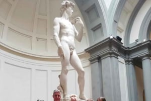 Florens: Uffizi & Accademia Gallery med David Privat rundtur
