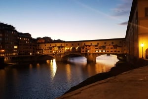 Florencia: tour a pie galería de los Uffizi y de la Academia