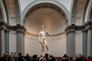 Firenze: Uffizit ja Accademia 3 tunnin opastettu kierros.