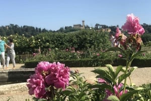 Florens: Uffizi, Pitti, Boboli och 8 attraktioner 5-dagarspass