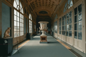 Florence : Visite guidée privée de la Galerie des Offices et billet d'entrée
