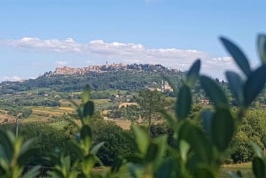 Florence: Valdorcia Wine, Brunello Montalcino, Montepulciano