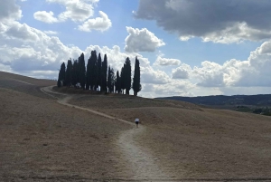 Florence: Val d'Orcia Highlights Tour with Wine Tasting