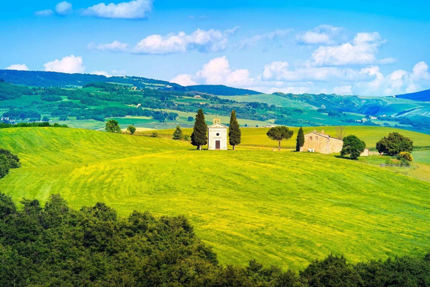 Florence: Val d'Orcia Private Chauffeur-Driven Tour