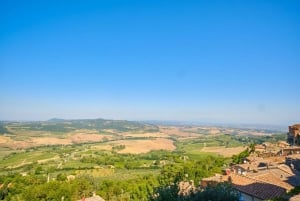 Firenze: Val d'Orcia privat tur med chauffør