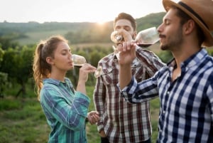 Florence: Val d'Orcia Private Chauffeur-Driven Tour