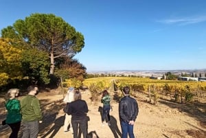 Florence: Valdorcia-wijn, Brunello Montalcino, Montepulciano