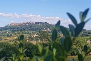 Firenze: Valdorcia-viini, Brunello Montalcino, Montepulciano.