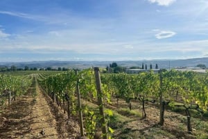 Florence: Valdorcia-wijn, Brunello Montalcino, Montepulciano
