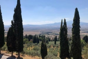 Firenze: Valdorcia-viini, Brunello Montalcino, Montepulciano.