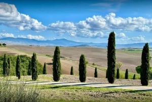 Firenze: Valdorcia-viini, Brunello Montalcino, Montepulciano.