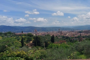 Descubre Florencia con una cata de vinos como un florentino más.