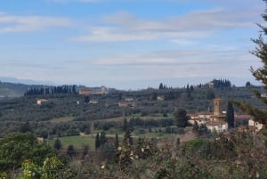 Descubre Florencia con una cata de vinos como un florentino más.