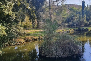 Firenze: Besøg i Frederick Stibberts villa og park