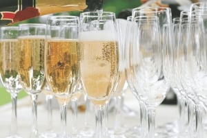 Florence: Vivaldi's Four Seasons Concert & Apericena