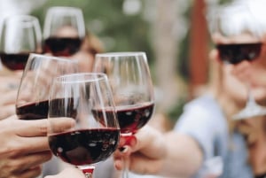 Florence: Vivaldi's Four Seasons Concert & Apericena