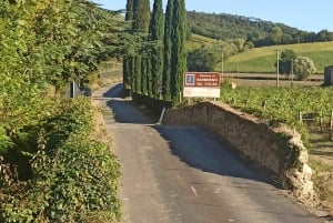 Florence: Volterra & San Gimignano Wine Tour with Lunch