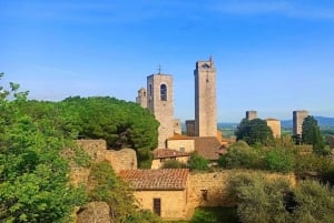 Florence: Volterra & San Gimignano Wine Tour with Lunch