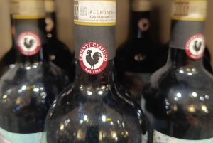 Florence: Volterra & San Gimignano Wine Tour with Lunch