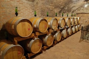 Florence: Volterra & San Gimignano Wine Tour with Lunch