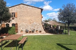 Florence: Volterra & San Gimignano Wine Tour with Lunch