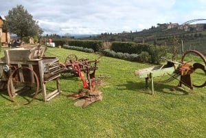 Florence: Volterra & San Gimignano Wine Tour with Lunch