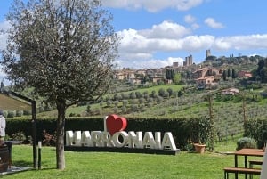 Florence: Volterra & San Gimignano Wine Tour with Lunch