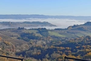 Florence: Volterra & San Gimignano Wine Tour with Lunch