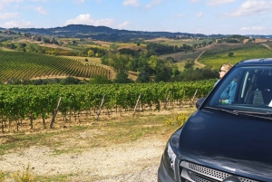 Florence: Volterra & San Gimignano Wine Tour with Lunch