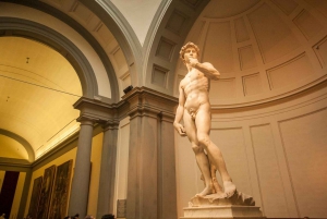 Florence: wandeltocht en rondleiding door de Galleria dell'Accademia