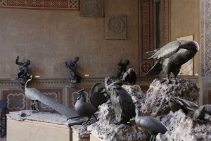 Florence: Walking Tour and Bargello Museum