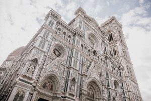 Florence in a Day: Accademia, Uffizi & Guided City Tour