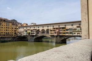 Florença: passeio a pé com a Galeria Accademia sem fila