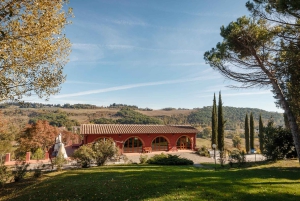Firenze: Viininmaistelu viinitilalla paikallisen viinintekijän kanssa.