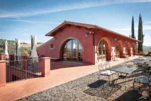 Firenze: Viininmaistelu viinitilalla paikallisen viinintekijän kanssa.