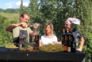 Firenze: Viininmaistelu viinitilalla paikallisen viinintekijän kanssa.