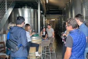 Florence: Wine Tasting at a Vineyard With a Local Winemaker