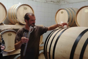 Florence: Wine Tasting at a Vineyard With a Local Winemaker