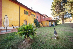 Florence: Wine Tasting at a Vineyard With a Local Winemaker