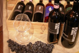 Florence: Wine Tasting at a Vineyard With a Local Winemaker