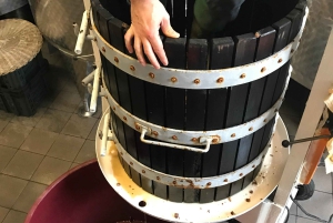 Florence: Wine Tasting at a Vineyard With a Local Winemaker