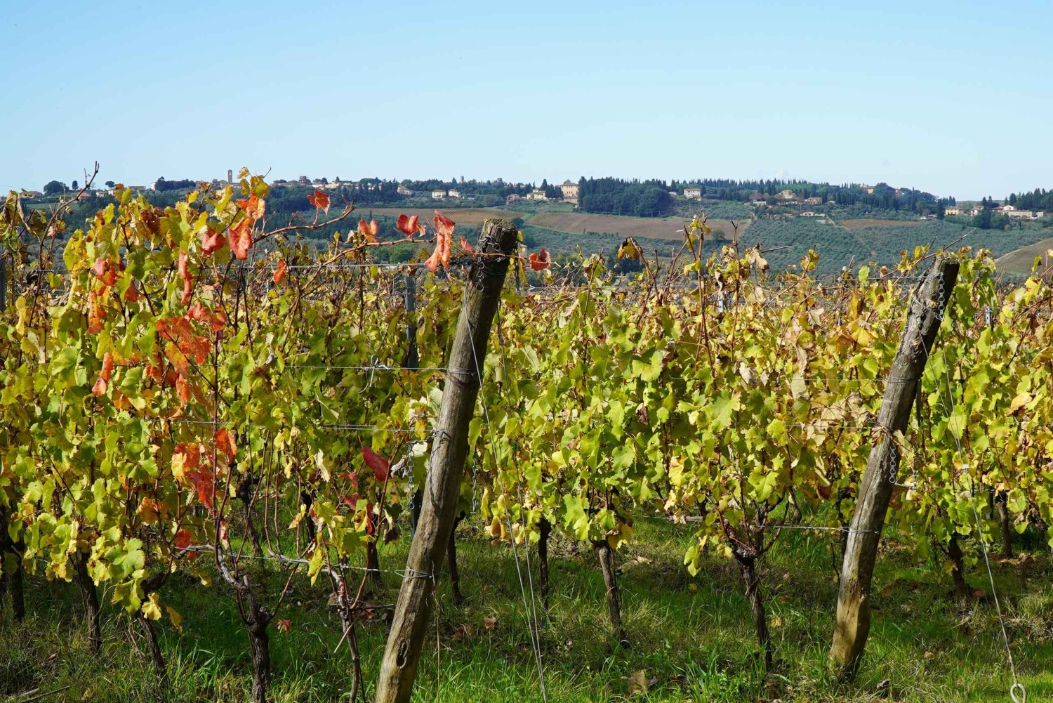 Florens: Vintur med ostprovning och lunch hos slaktaren