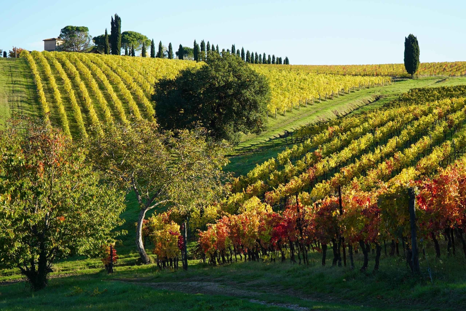 Florens: Vintur med ostprovning och lunch hos slaktaren