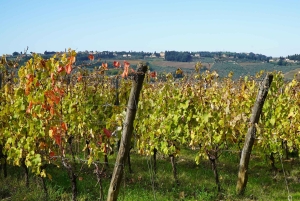 Florens: Vintur med ostprovning och lunch hos slaktaren