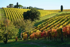 Florens: Vintur med ostprovning och lunch hos slaktaren