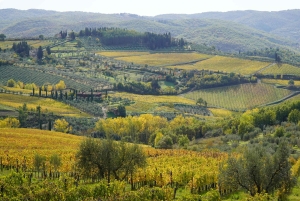 Florens: Vintur med ostprovning och lunch hos slaktaren