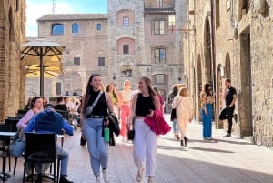 Firenze: Vingårde, smagninger, frokost og San Gimignano-dagstur
