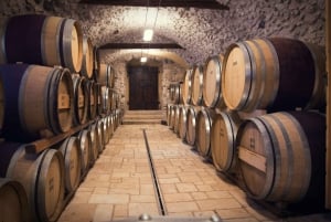 Florencja: winiarnie, degustacje, lunch i jednodniowa wycieczka do San Gimignano