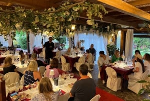 Florença: vinícolas, degustações, almoço e passeio de um dia em San Gimignano